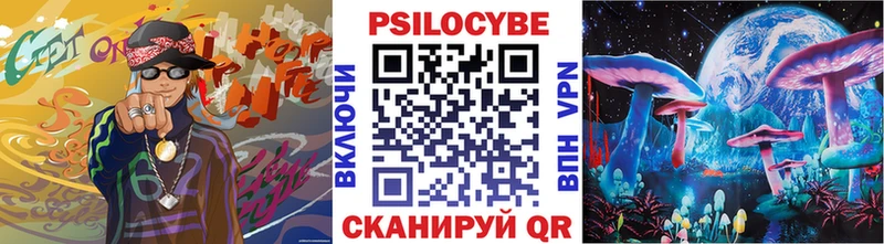 наркота  Искитим  Галлюциногенные грибы Psilocybe 